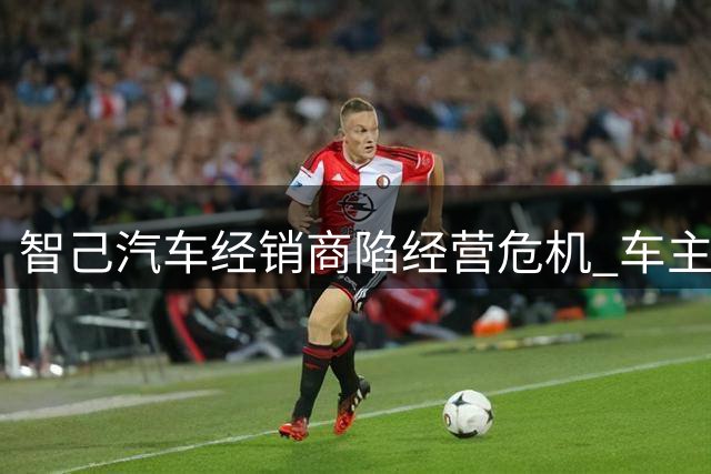 智己汽车经销商陷经营危机 车主员工集体维权